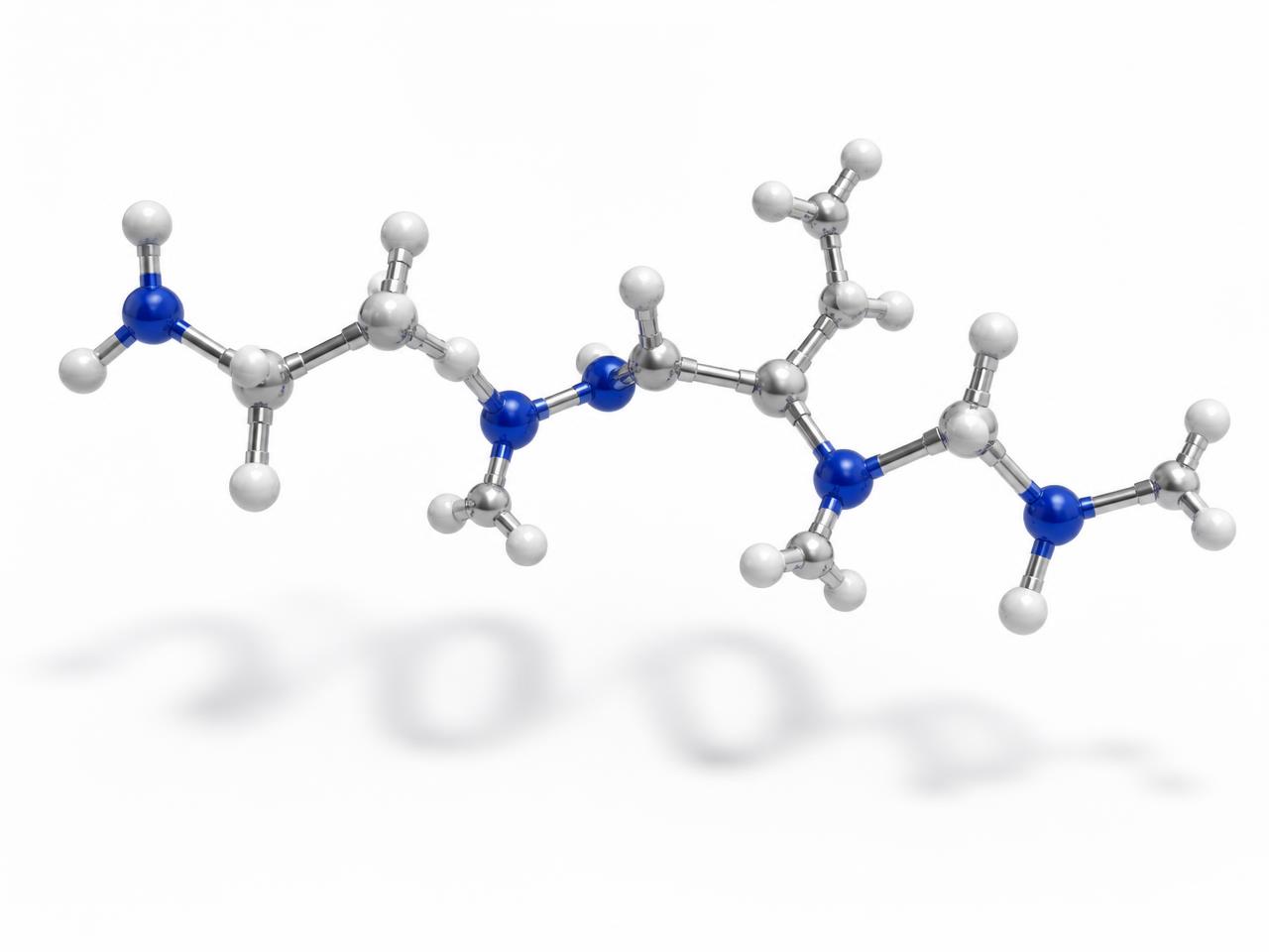 Three-dimensional ball-and-stick model of a short peptide chain